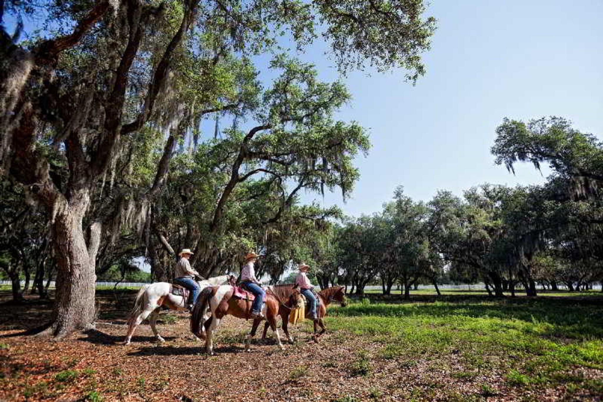ウエストゲイト リバー ランチ リゾート River Ranch エクステリア 写真