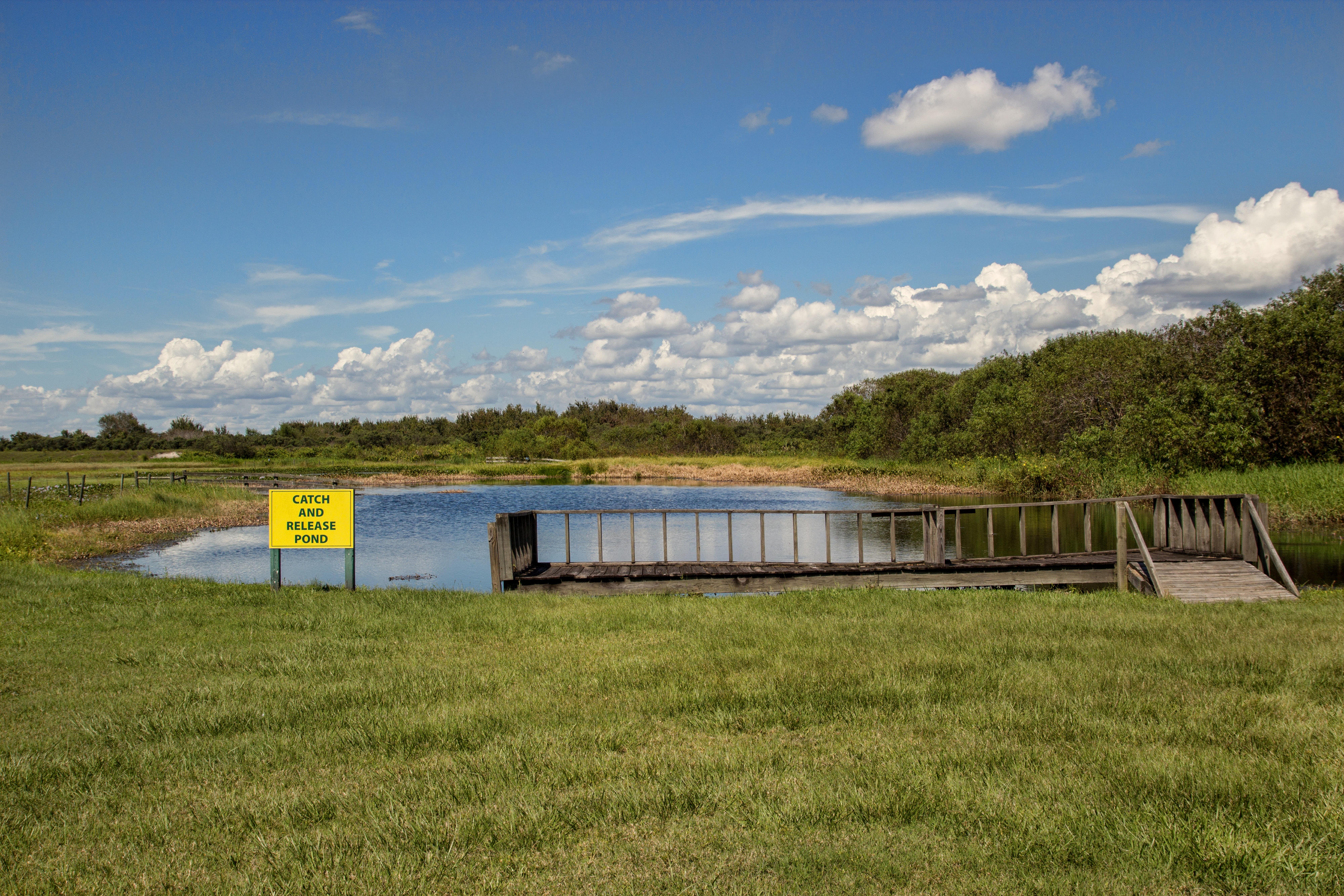 ウエストゲイト リバー ランチ リゾート River Ranch エクステリア 写真